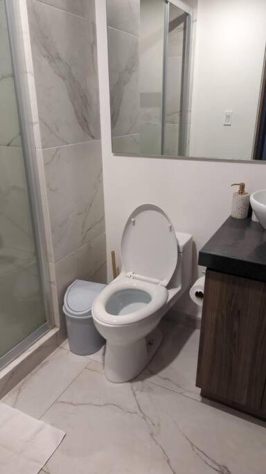 Hermoso Apartamento En San Angel, Cdmx مدينة مكسيكو المظهر الخارجي الصورة